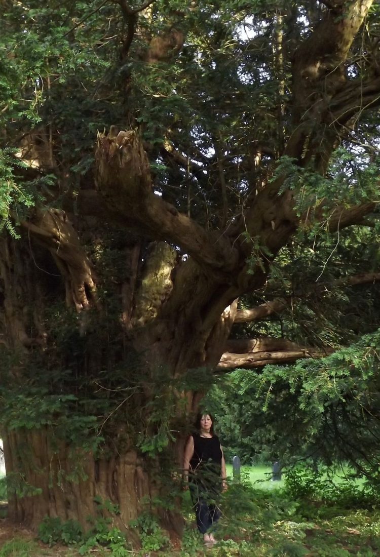 Val under the yew tree email